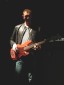 Pino Palladino Photo